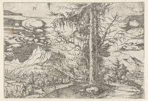 Landschaft mit doppelter Fichte