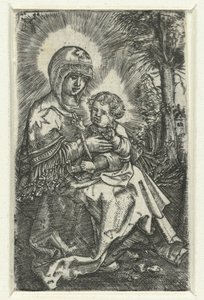 Maria mit Kind in Landschaft von Albrecht Altdorfer