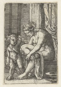 Venus nach dem Bad von Albrecht Altdorfer