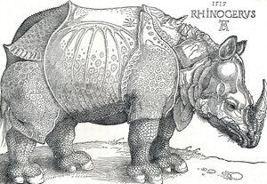 Ein Nashorn, 1515, 1906 von Albrecht Dürer