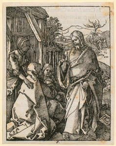  von Albrecht Dürer