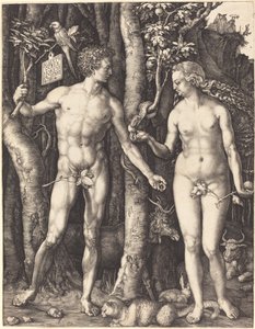 Adam und Eva von Albrecht Dürer
