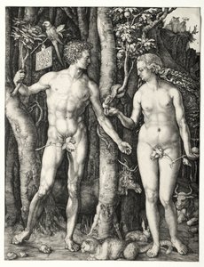 Adam und Eva von Albrecht Dürer