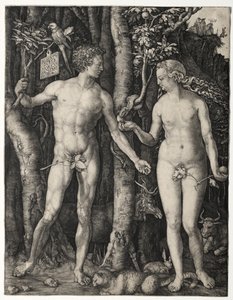 Adam und Eva von Albrecht Dürer