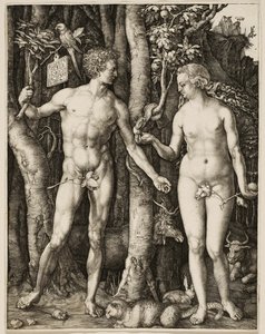 Adam und Eva von Albrecht Dürer