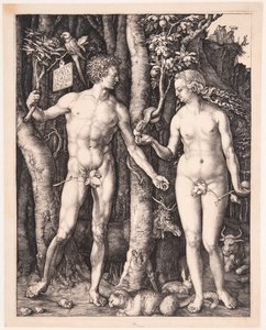 Adam und Eva von Albrecht Dürer