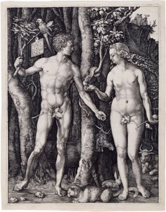 Adam und Eva von Albrecht Dürer