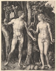  von Albrecht Dürer