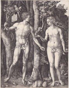  von Albrecht Dürer