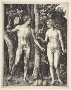  von Albrecht Dürer