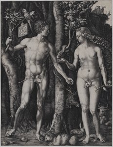  von Albrecht Dürer