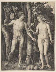  von Albrecht Dürer