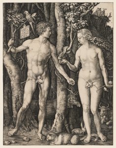  von Albrecht Dürer