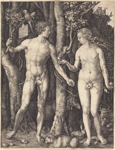  von Albrecht Dürer