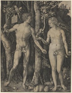  von Albrecht Dürer