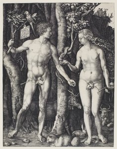 Adam und Eva von Albrecht Dürer
