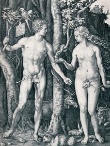 Adam und Eva, 1504 von Albrecht Dürer