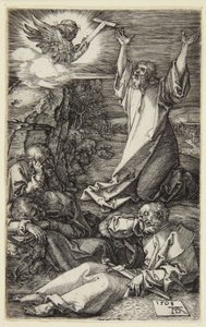  von Albrecht Dürer