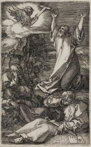 Qual im Garten, aus Die gravierte Passion von Albrecht Dürer