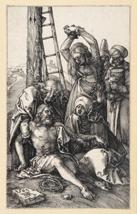  von Albrecht Dürer