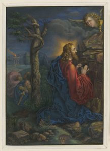  von Albrecht Dürer
