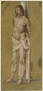  von Albrecht Dürer