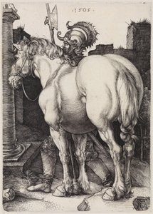 von Albrecht Dürer