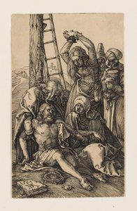  von Albrecht Dürer