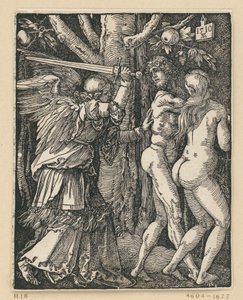  von Albrecht Dürer