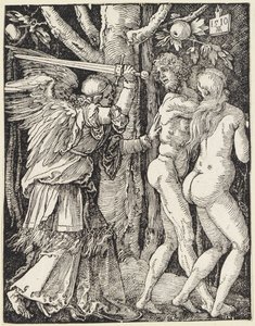  von Albrecht Dürer