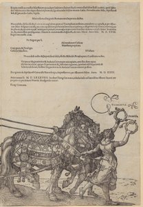 Experientia, Blatt 8 der Folge "Der Große Triumphwagen" von Albrecht Dürer