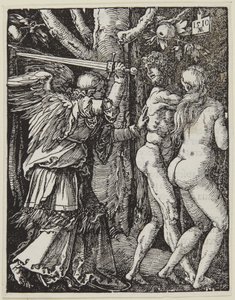  von Albrecht Dürer