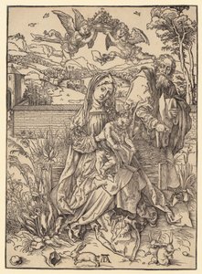  von Albrecht Dürer