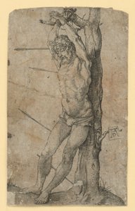  von Albrecht Dürer