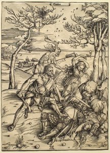  von Albrecht Dürer
