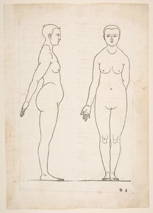 Illustration aus Dürers Vier Bücher von menschlicher Proportion, Nürnberg, 1528