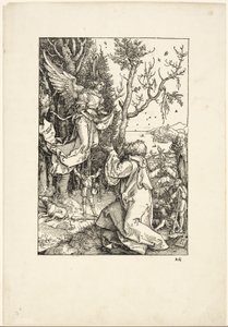 Joachim und der Engel, aus Das Leben der Jungfrau von Albrecht Dürer
