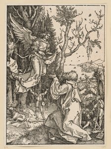 Joachim und der Engel (Marienleben) von Albrecht Dürer