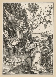  von Albrecht Dürer