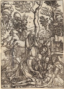 von Albrecht Dürer