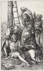  von Albrecht Dürer