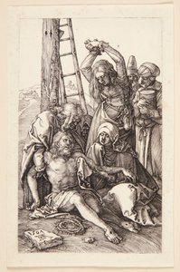  von Albrecht Dürer