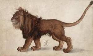 Löwe, 1521