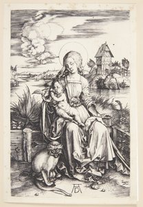 Madonna mit dem Affen von Albrecht Dürer