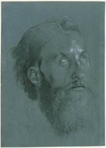  von Albrecht Dürer