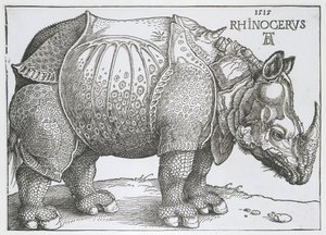 Nashorn