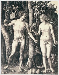 Erbsünde von Albrecht Dürer