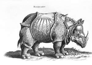 Nashorn, Nr. 76 aus 