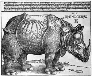 Nashorn, Druck an Maximilian I. vom König von Lissabon, 1515, 1936