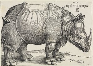  von Albrecht Dürer